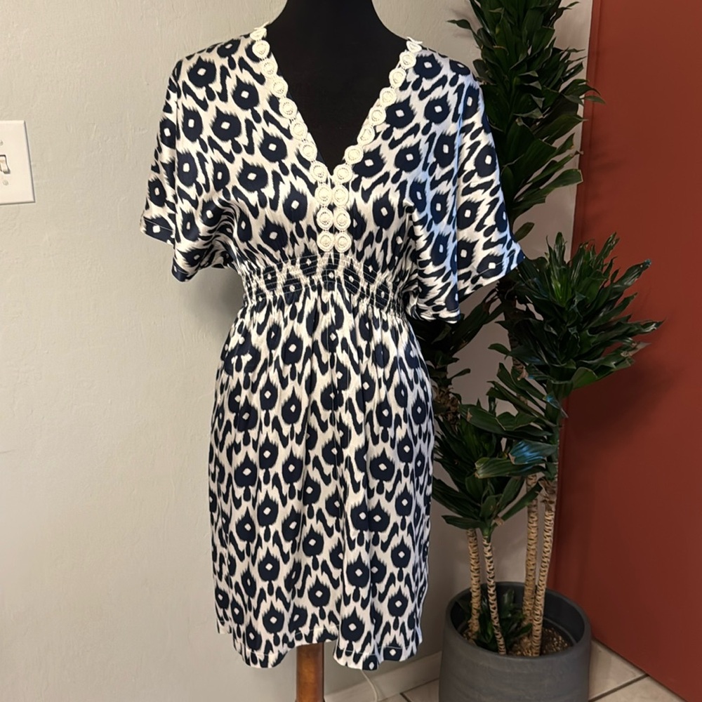 Blue  And White Dress